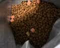 麦富迪猫粮 超肉粒冻干双拼成猫粮美毛护肠三文鱼10kg/20斤【宠物金选】 实拍图