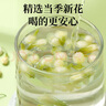 茗愿茉莉花苞110g广西横县三伏晴天茉莉花茶干花蕾泡水喝的花草养生茶 实拍图