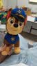 汪汪队立大功（PAW PATROL）汪汪队玩具毛绒全套狗狗玩偶公仔男女孩玩具旺旺队儿童生日礼物 站姿款-阿奇公仔 中号-坐或站高约17~22.9CM 实拍图