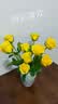 【方德玫瑰】云南鲜花基地直发玫瑰花鲜切38妇女节女神节生日礼物 方德35-40cm黄色系10支 实拍图