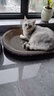 【京东物流】猫抓板磨爪猫窝一体耐磨不掉屑超大号猫玩具猫咪用品 椭圆巨无霸+猫薄荷 实拍图