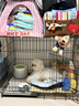 宠乐乖（CHONGLEGUAI）狗笼猫笼狗笼子中小型犬带厕所幼犬折叠便携猫笼子猫咪兔笼850ZG 实拍图