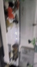 阔庭（KUOTING）鱼缸懒人鱼缸家用客厅办公室金鱼缸过滤鱼缸白色款 实拍图