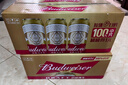 百威（Budweiser）经典纯生淡色拉格啤酒 500ml*18听整箱装 踏春送礼 实拍图