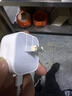 Apple/苹果 40W type-c快充充电器 苹果usb-c原装充电头 旗舰店新款苹果iphone17/16/15promax充电器 实拍图