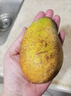 京鲜生 海南大台农芒果 3斤装 单果150g起 新鲜水果 实拍图