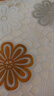 云山半番茄酱沙拉酱2瓶组合装 番茄沙司手抓饼酱三明治酱挤压瓶540g 实拍图