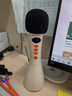 得胜（TAKSTAR） DA10一体式手持麦克风扩音器教师专用话筒小蜜蜂户外促销教学上课大音量 DA10米黄|翻页版|15W功率|覆盖100人 实拍图