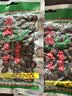正林3A黑瓜子125g/袋五香大颗粒西瓜子坚果（新老包装随机发货） 实拍图