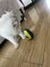 HELLOJOY猫玩具自嗨解闷逗猫棒不倒翁漏食球猫薄荷宠物猫玩的猫咪用品大全 实拍图