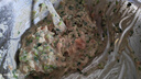 享鲜猫（鲅鱼馅+黄花鱼馅）海鲜饺子馅组合装1000g 每袋可包50只饺子 实拍图