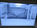 森森（SUNSUN）超白鱼缸一体缸自循环客厅水族箱桌面家用懒人免换水小型金鱼缸 超白HEJ380标配 带滤材+棉 实拍图