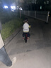 飞鸽儿童平衡车1-3-6岁男女小孩滑行无脚踏自行车宝宝两轮滑步车礼物 14寸镁合金一体充气轮【中国红】 实拍图