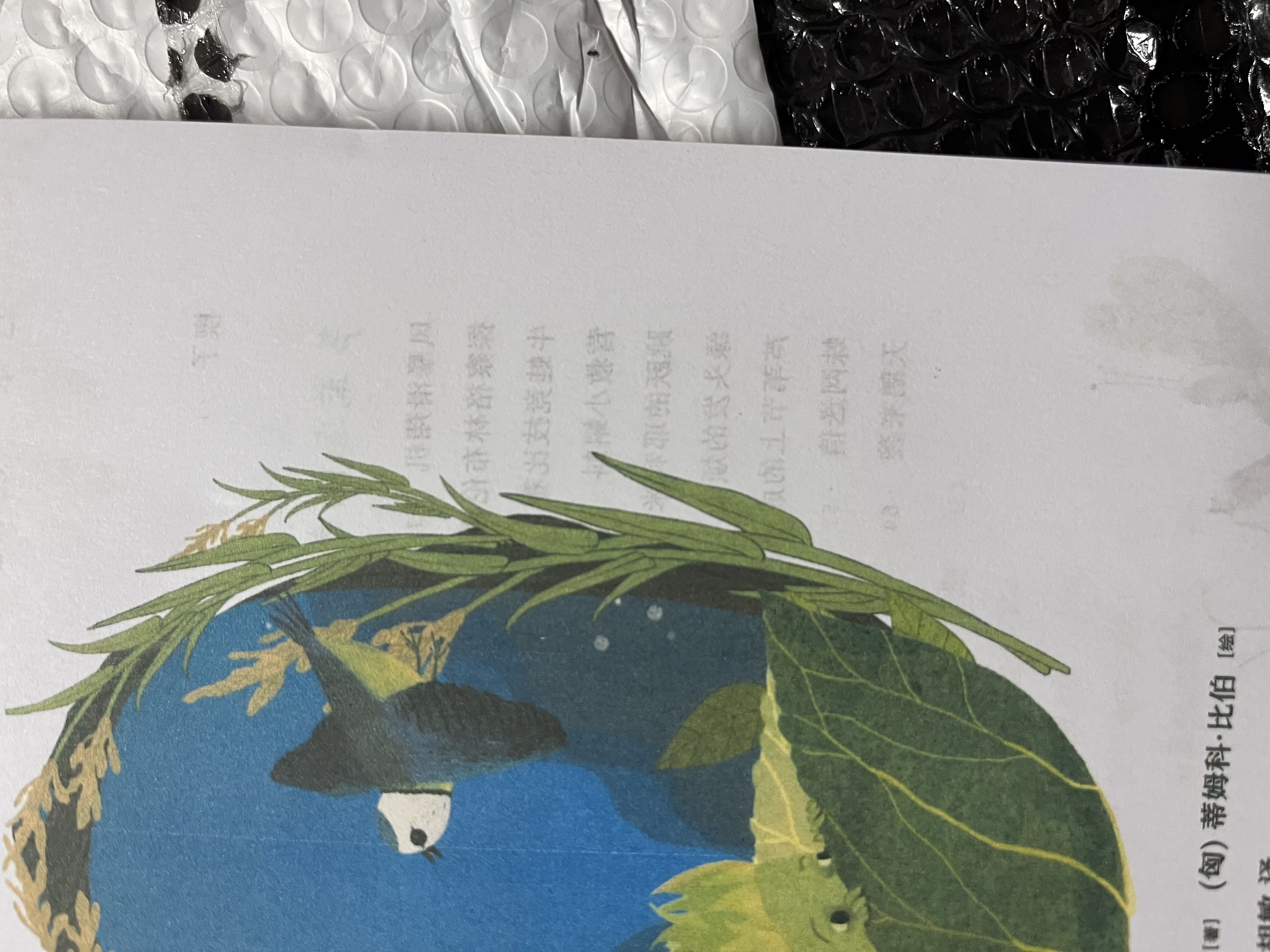 我的野生动物朋友+风暴男孩（套装共2册）让孩子敬畏自然 保护环境 保护野生动物 鹈鹕的故事 暑期阅读推荐 实拍图