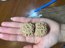 山中玉文玩核桃狮子头手把玩古麻核桃核头蛤蟆手盘把件男女送新年礼物 新手级38-39白狮子1对 实拍图