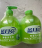 蓝月亮洗手液抑菌99.9%300g*12瓶整箱 芦荟泡沫丰富儿童办公室商用7.2斤 实拍图
