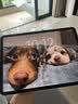原装苹果 Apple iPad Pro系列 11/10.5英寸16-22款二手平板电脑 95新21款Pro-128G 11寸 wifi版本 实拍图