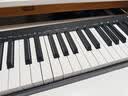 M-AUDIO Keystation 49 61 88 MK3 MIDI键盘半配重音乐创作编曲键键盘 Keystation61键MK3【送踏板】 实拍图