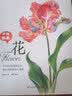 万物我画 花 实拍图
