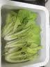 蓝力鲸超声波果蔬清洗机家用洗菜机农药残留清洗食材净化机 【双进水模式】双高频超声波 实拍图