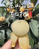 艾美特（AIRMATE）【语音小暴风】智能空气循环扇大风力电风扇家用小型落地扇卧室安静轻音柔风小风扇 SR171 实拍图