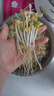 京严【可发12种】豆芽机全自动洒水家用三层大容量增压发豆芽多功能智 定时温控【三层大容量+遮光罩】1.2升水箱 实拍图