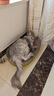 好主人猫粮 成猫猫粮 全价成猫天然粮通用鸡肉味 10kg/20斤 实拍图