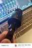 得胜（TAKSTAR）PC-K220电容麦克风专业录音游戏主播设备套装全套手机声卡K歌直播电脑唱歌 【咨询客服领券】得胜K220+悬臂支架 实拍图