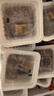 燕京国产小粒纳豆 激酶发酵菌健康轻食代餐50g*18盒 解冻即食低脂低卡 实拍图