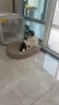 网易严选犬粮 全价冻干三拼鸡肉狗粮幼犬成犬小型中大型犬通用金毛 10kg*2 实拍图