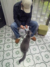 MamyPets鱼油冻干棒磨牙棒猫零食猫用美毛猫咪鸡肉成幼猫护毛防掉毛鸡胸肉 实拍图