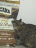 愛肯拿（ACANA）猫粮 牧场盛宴成猫幼猫粮 高蛋白无谷进口鸡肉粮5.4kg 效期27/1 实拍图