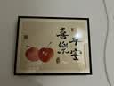 柳莺花燕免打孔电表箱装饰画现代简约客厅餐厅挂画电闸箱配电箱遮挡壁画 喜乐平安 45X35遮挡35X25表箱 上掀款 实拍图