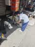 BOTH 烘焙猫粮 幼猫成猫全阶段 鸭肉梨泪痕管理 猫粮试吃200g 实拍图