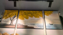 雅鹿·自由自在纯棉荞麦枕头100%全荞麦皮荞麦壳枕芯夏季安睡枕颈椎枕单只装6斤 实拍图
