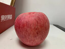 南步【顺丰直达】山西临汾吉县壶口苹果瀑布红富士苹果蜂蜜冰糖心水果 9斤 90mm(含)-95mm(不含) 实拍图