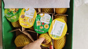 佳沛（zespri）新西兰 阳光金奇异果12粒特大果单果124-146g 猕猴桃水果礼盒 实拍图