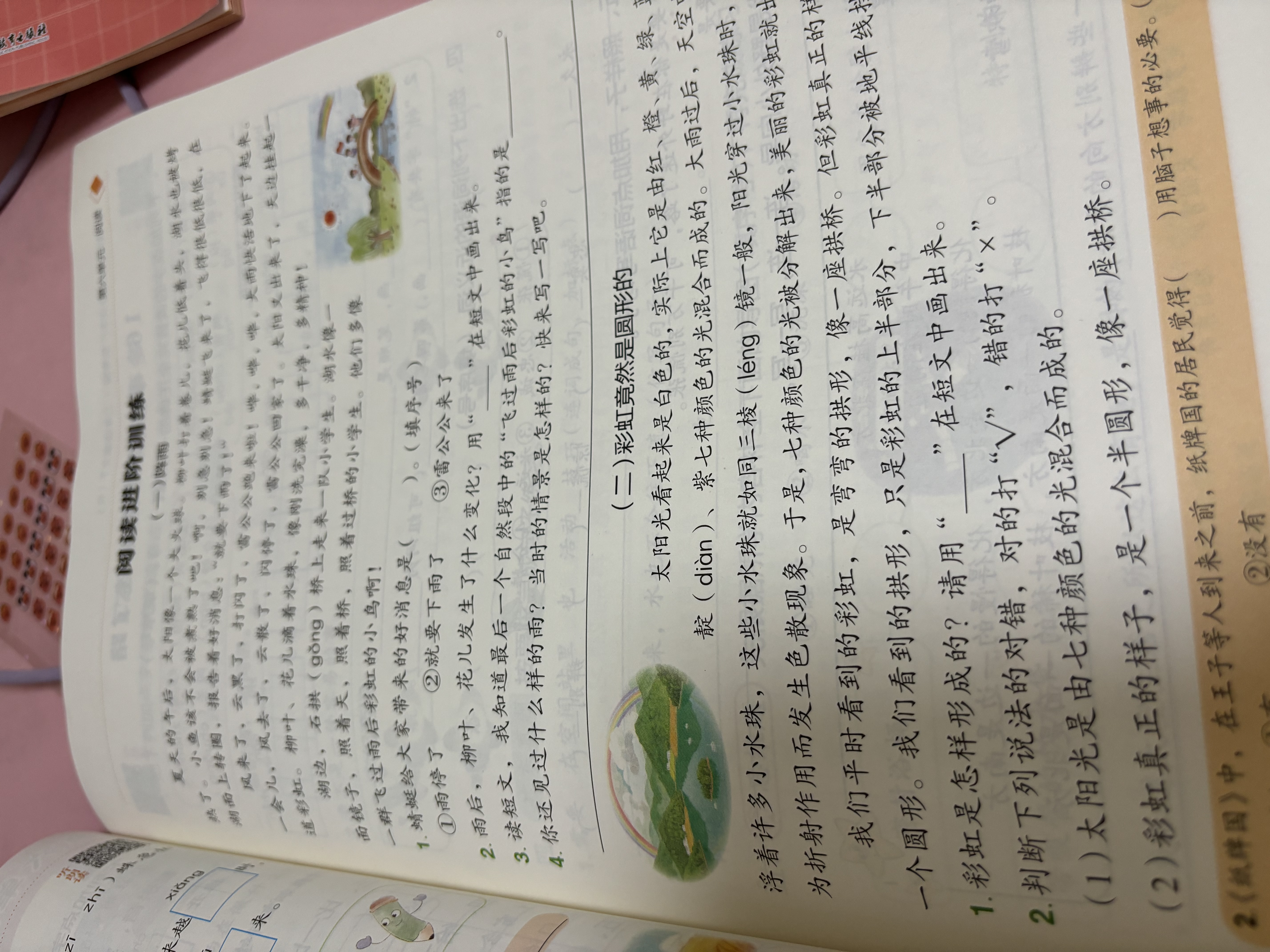 【年级/科目自选】广东专版2026秋季黄冈小状元作业本 一二三四五六年级上册语文数学英语RP人教版北师大版BSD版 小学教材同步练习册期末检测题 【单本】语文（人教版） 二年级上册 实拍图