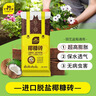 史丹利椰糠砖650g*3 椰土砖椰砖营养土脱盐花土耶砖种菜通用型 实拍图