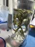 容山堂双层玻璃杯山峦龙井绿茶专用杯耐热防烫泡茶杯办公家用 玻璃束腰雪山绿茶杯 实拍图
