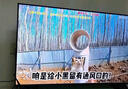 【价保618】TCL43V8L 包安装版【伸缩挂架送装一体】43英寸 大内存 护眼电视 V8L 实拍图