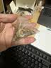南京同仁堂同仁堂菊花枸杞决明子金银花去火清热解毒养肝护肝熬夜养生茶包叶 实拍图