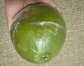 京鲜生 翡翠青柚 红心柚 2粒装 单果1.5斤起 生鲜柚子水果 实拍图