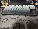 前行者【立省15%】X87Pro/Ultra无线机械键盘有线蓝牙三模gas客制化游戏电竞磁轴办公专用侧刻电脑笔记本 蓝棕灰侧刻Ultra北极拿铁轴V2-1.2万mA 实拍图