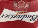 百威啤酒mini红罐淡色拉格255ml*12小罐整箱装京东自营喜酒踏春送礼 实拍图