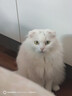 卫仕美毛爆爆袋猫干粮成猫幼猫全价冻干鲜肉猫粮1.5kg*2 实拍图