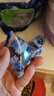 蓝莓干山长白山无添加姆同款正品独立包装大兴安岭特级 【眼睛的好营养】大果蓝莓干共750g 实拍图