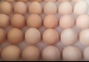 京鲜生 无抗保洁鲜鸡蛋30枚/盒 健康轻食 礼盒送礼 1.5kg/盒 源头直发 实拍图