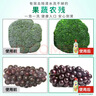 奥妙酵素餐具净洗洁精 白茶柠檬草 500g 去锅具焦糊 实拍图