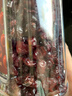 百草味蔓越莓干500g罐装即食烘焙用蜜饯果干果脯网红休闲零食小吃 实拍图